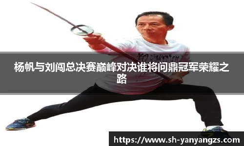 杨帆与刘闯总决赛巅峰对决谁将问鼎冠军荣耀之路